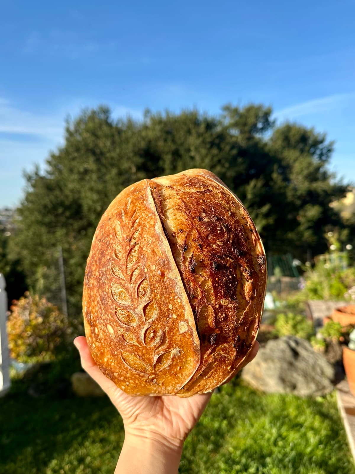 A golden scored sourdough boule held up against a blue sky